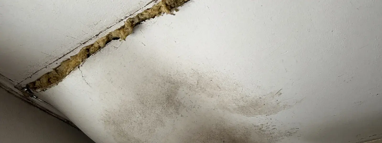 Sagging wet ceiling drywall in a Delta house